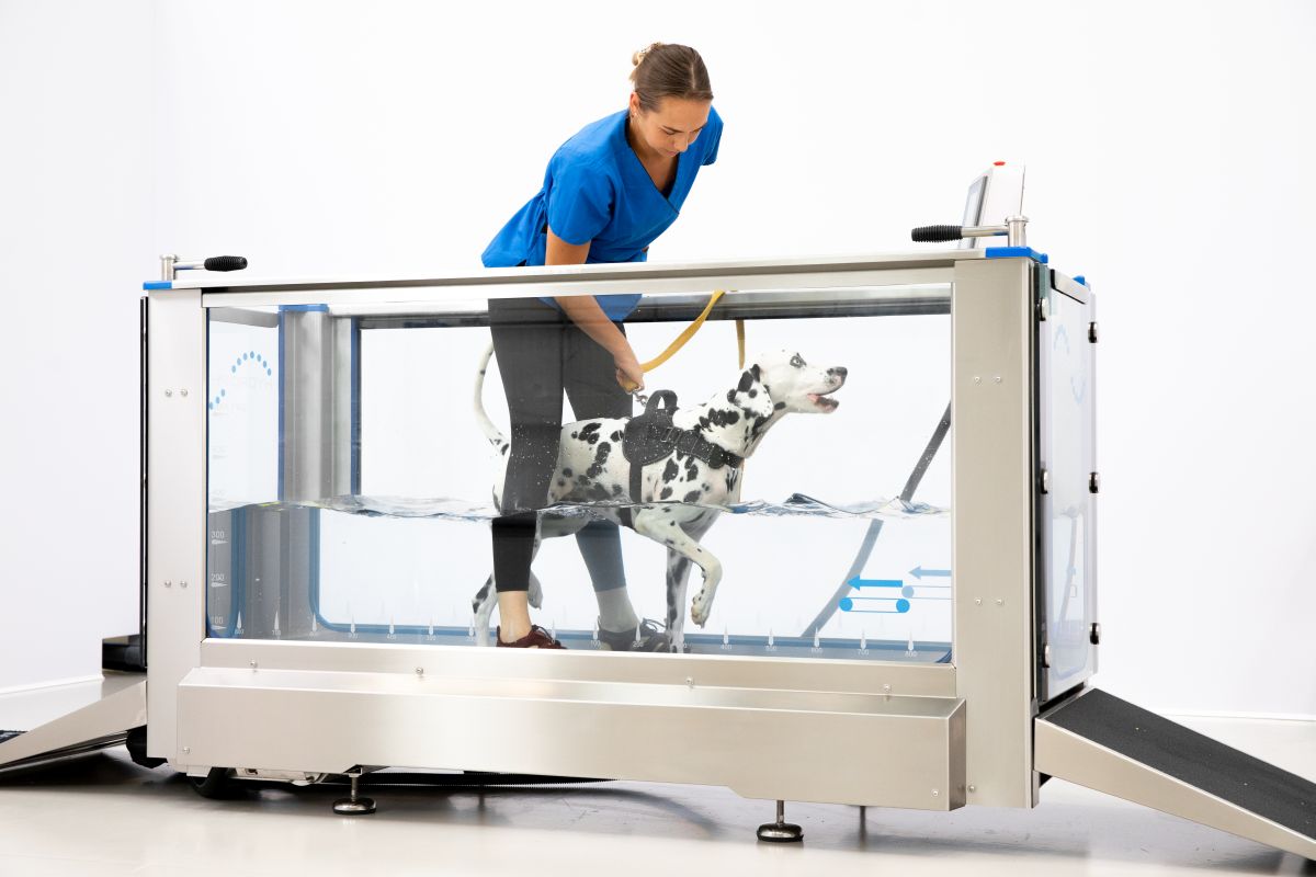 [DK]Vandløbebånd, Hydro Physio Canine 5, i brug
